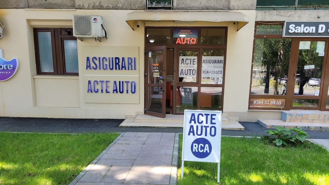 Acte auto Craiova